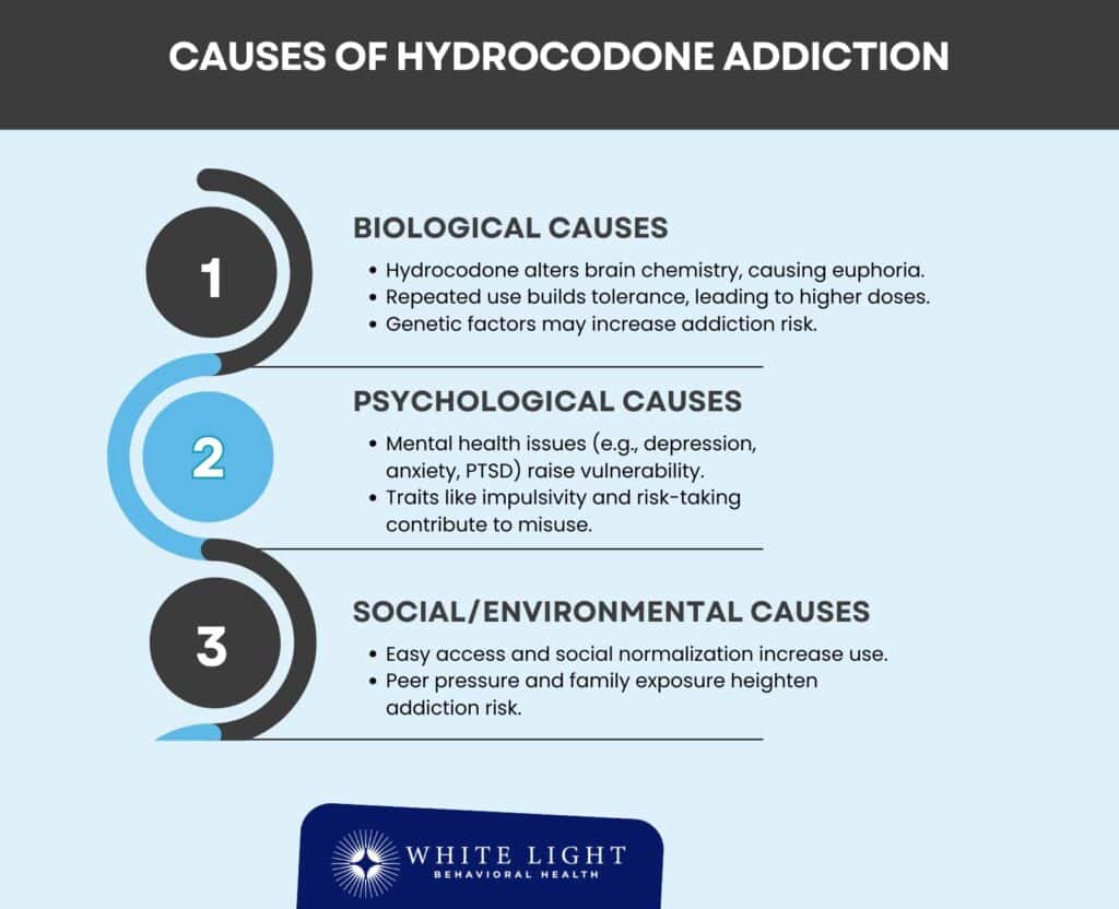 Causes of Hydrocodone Addiction
