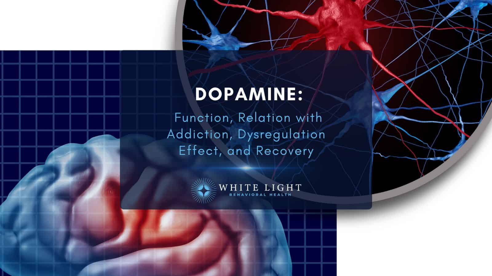https://whitelightbh.com/wp-content/uploads/Dopamine-Function-Relation-with-Addiction-Dysregulation-Effect-and-Recovery.jpg?utm_source=chatgpt.com