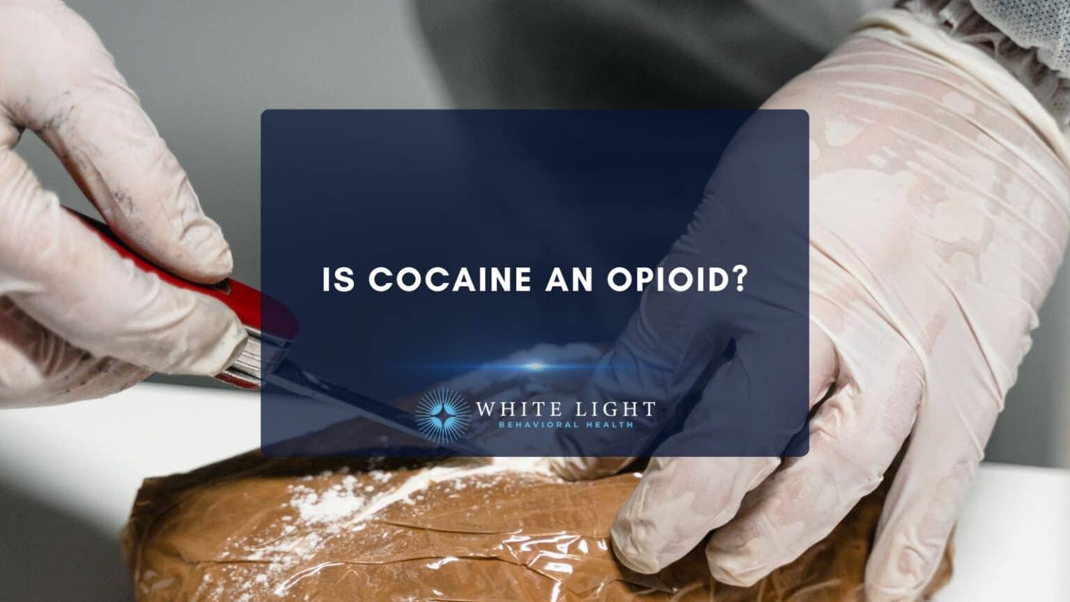 Is Cocaine An Opioid?