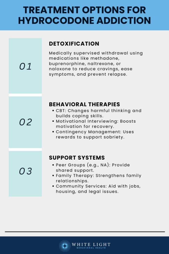 Treatment Options for Hydrocodone Addiction