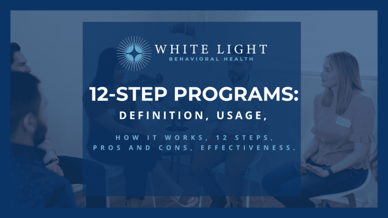 12 step programs