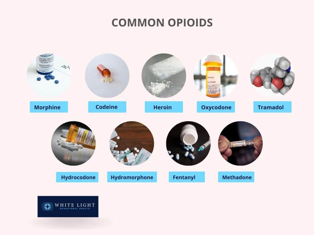 common opioid drugs