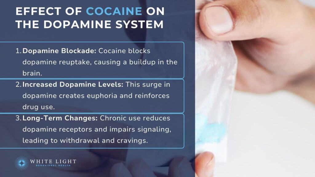 The effects of cocaine on the dopamine system