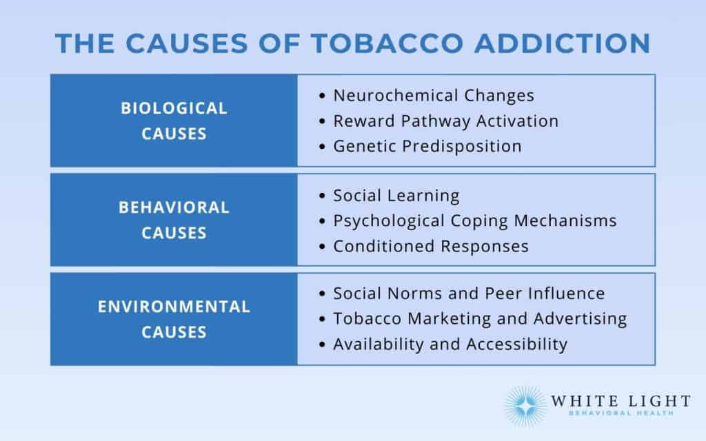 Tobacco Addiction: Symptoms, Causes, Effects, Treatment, And Preventions.